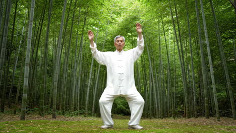 man practicing tai chi in a bamboo forest