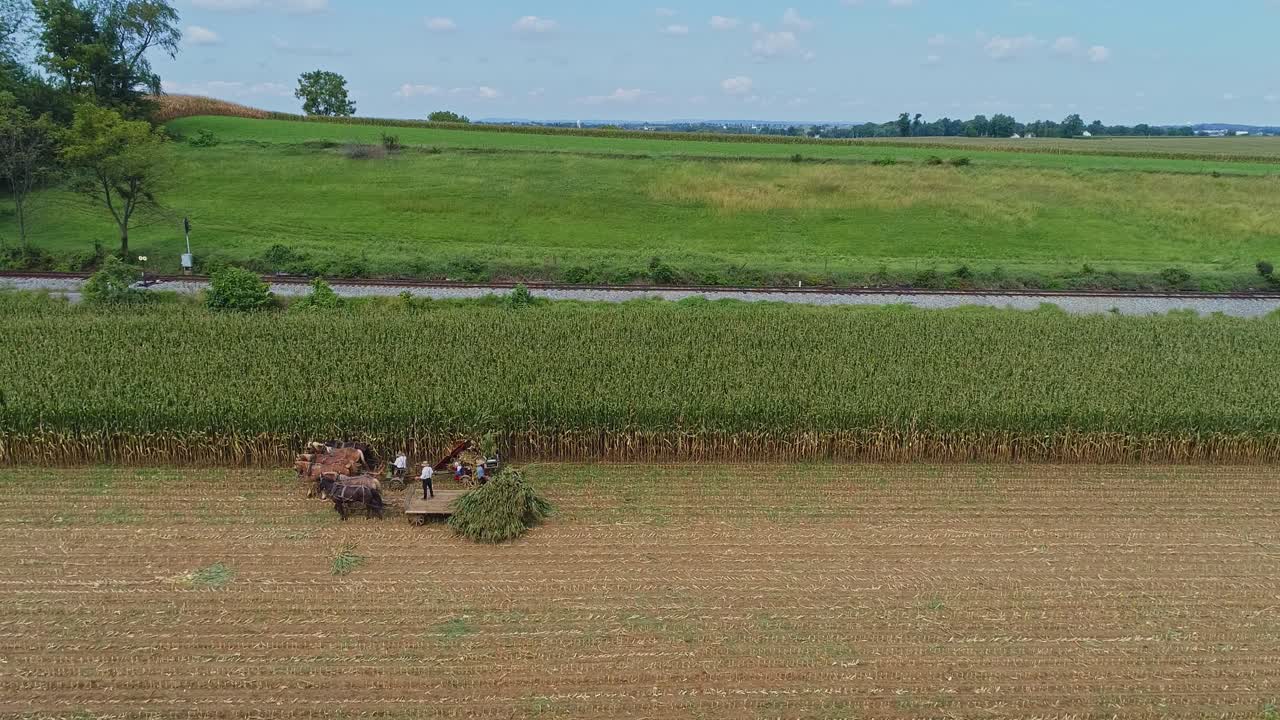 화창한 가을날 몇 년 전처럼 말 6마리와 남자 3명을 사용하여 그곳에서 옥수수를 수확하는 아미쉬의 조감도