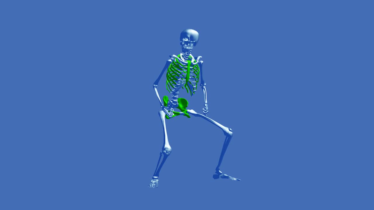 골격 춤 - 물 - 순간