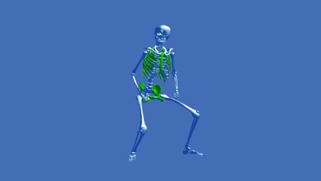 Skeleton-dance---water---moments-