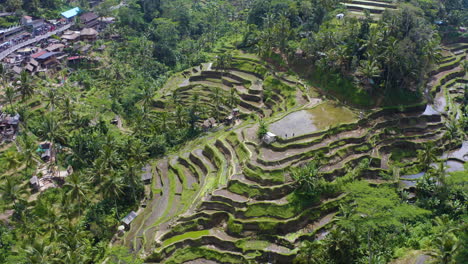 Tegalalang-Reisterrassen-Überführung-In-Ubud