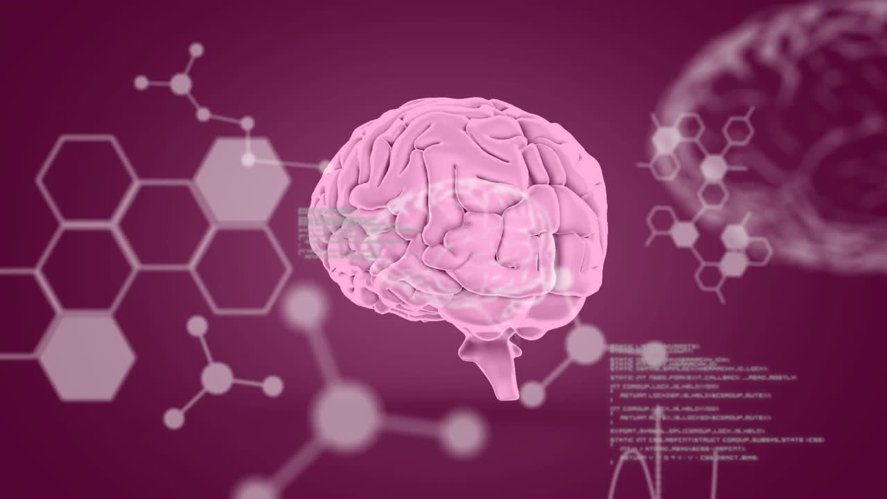 animación de cerebros humanos y procesamiento de datos científicos