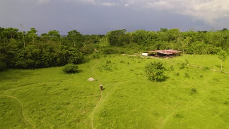 aerial shot of a lone horse rider trotting through a lush green field with a rustic shack nearby, cloudy sky overhead