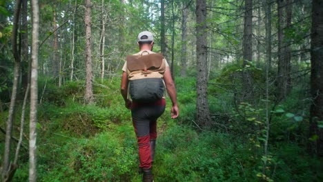 man hiking in the forest