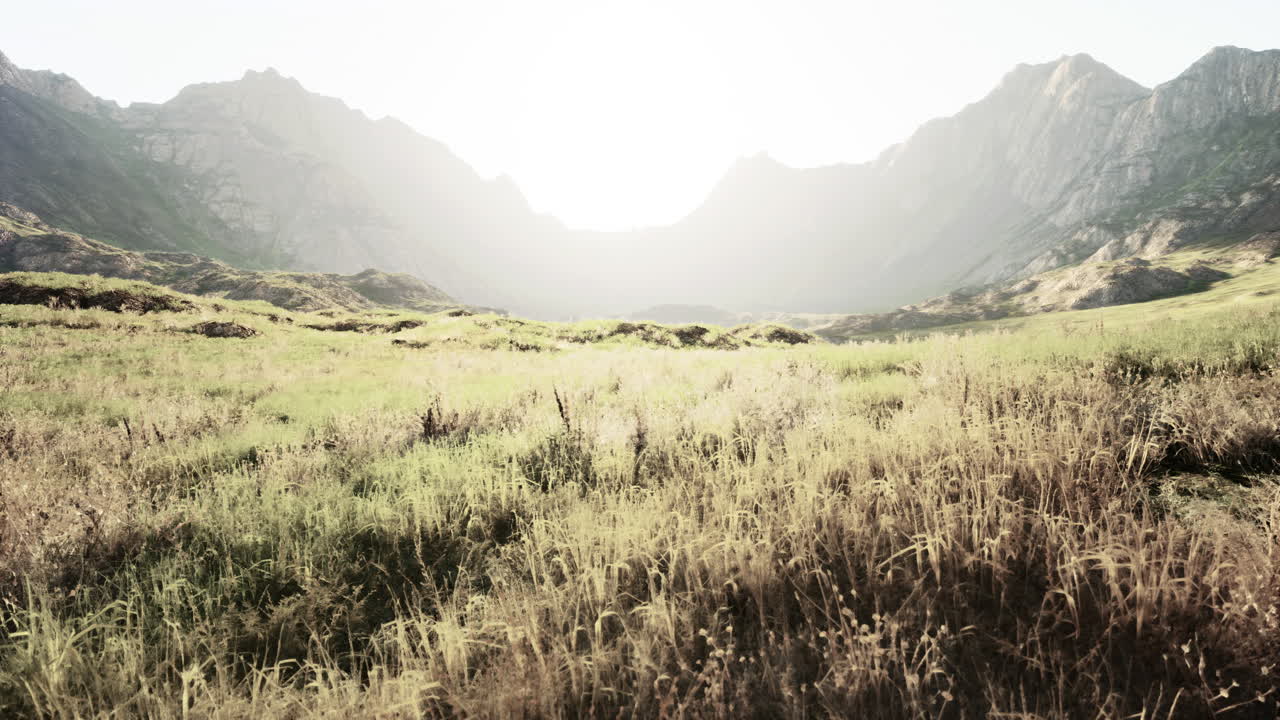 평화로운 산 계곡 풍경