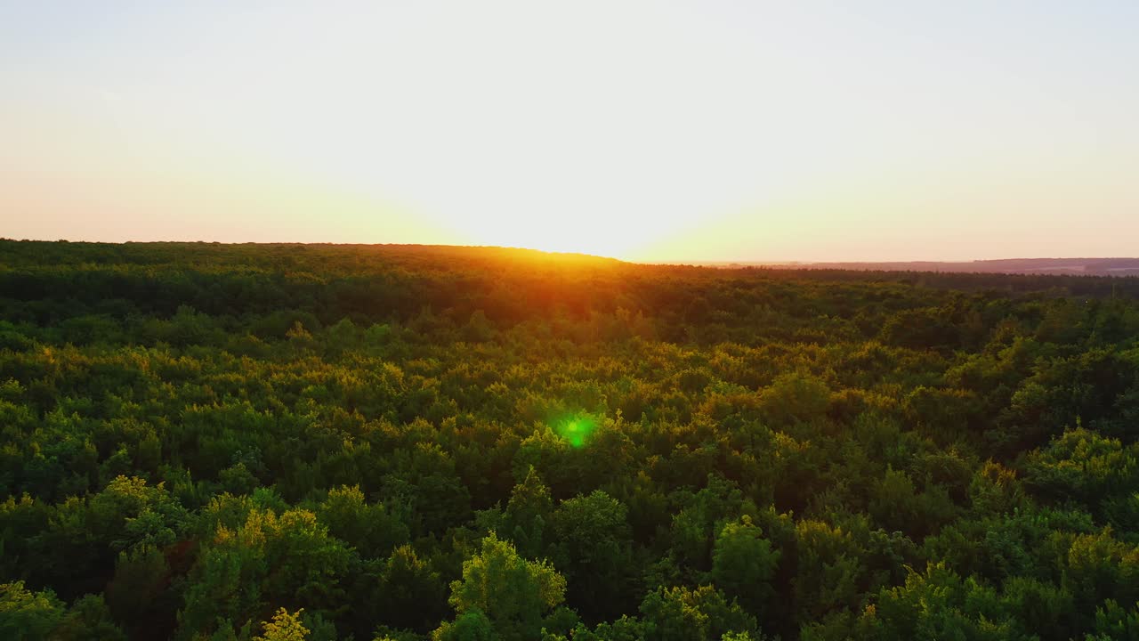 Beautiful sunrise or sunset over forest. Aerial video flying over high trees.