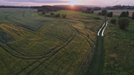 a man walking through a farm field in the countryside at a calm, summer sunset, czech republic