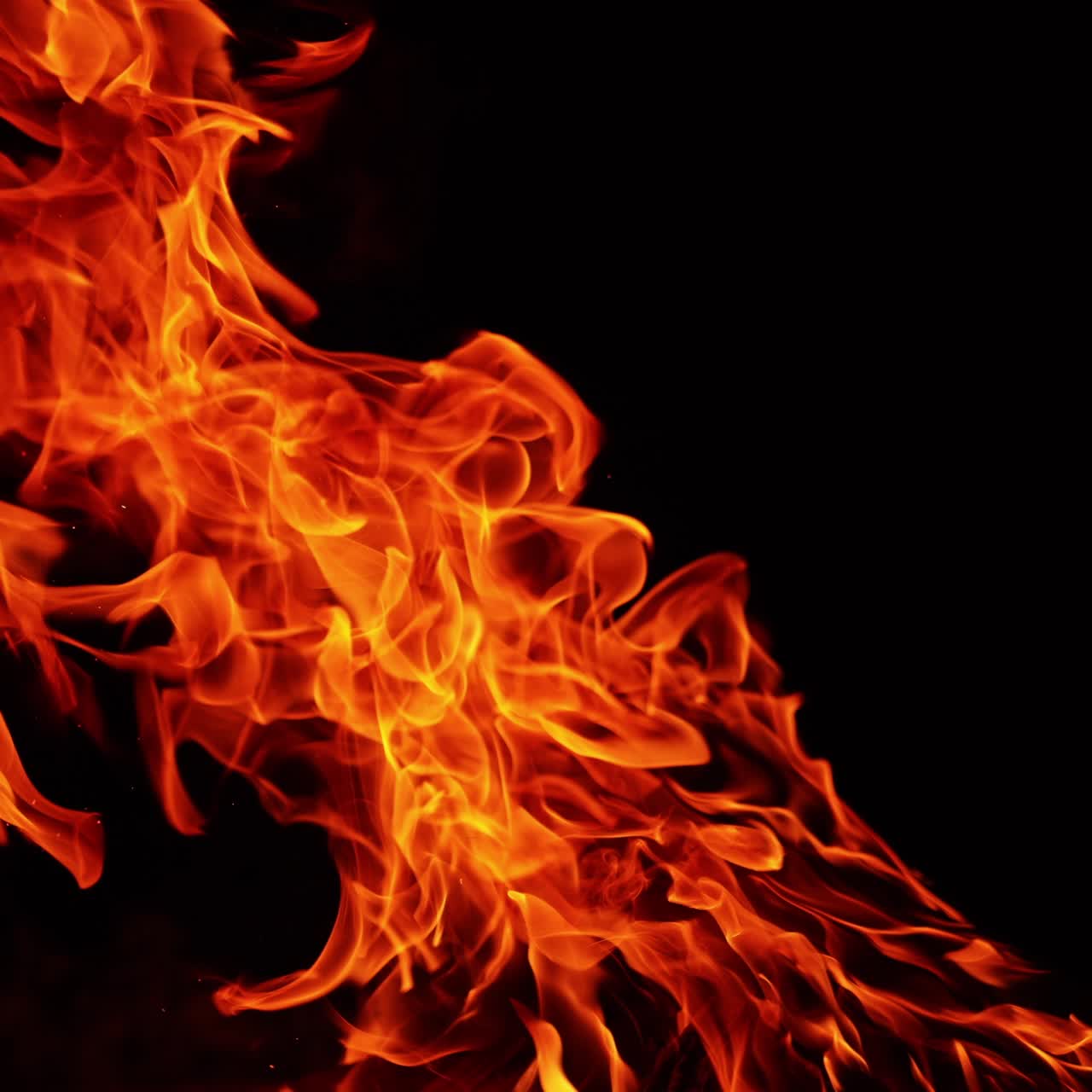 A long flame of bonfire stretching to the side from the wind. Isolated campfire at black backdrop