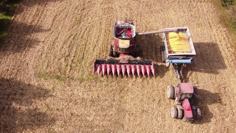 combine harvester at work unloading harvested corn grains into trailer at the farm