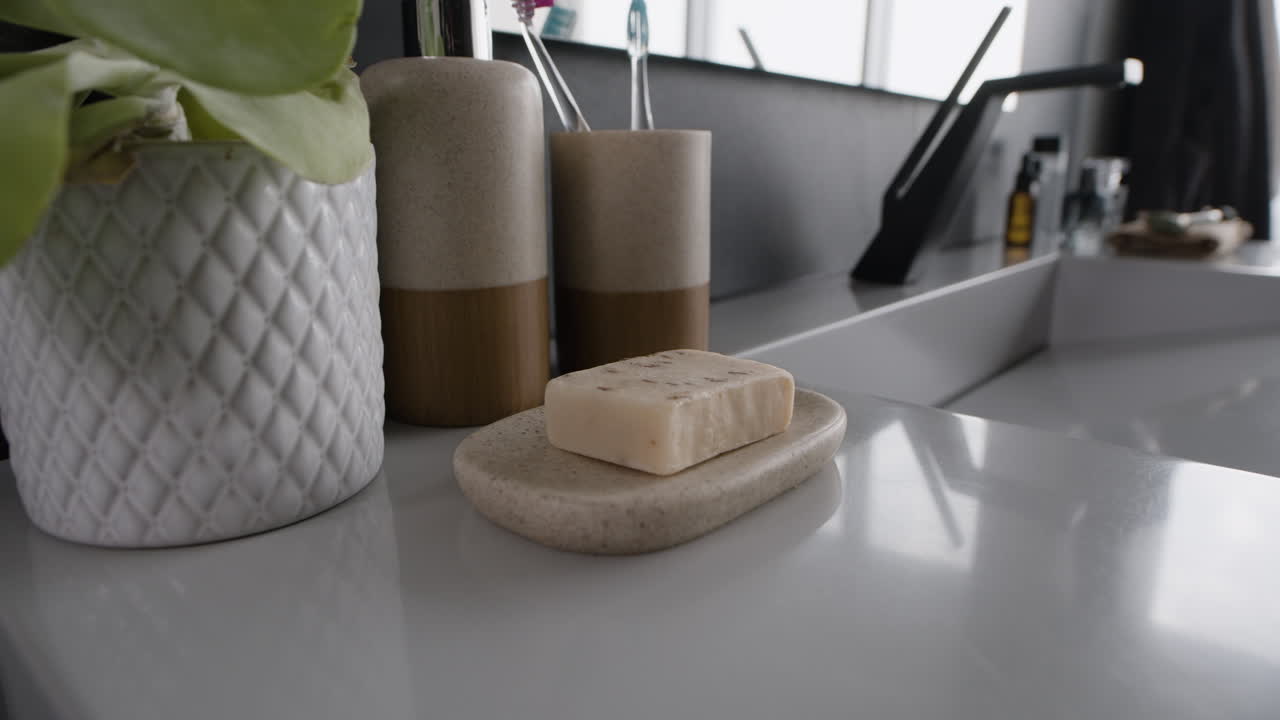 Modern Bathroom Sink with Plant and Soap