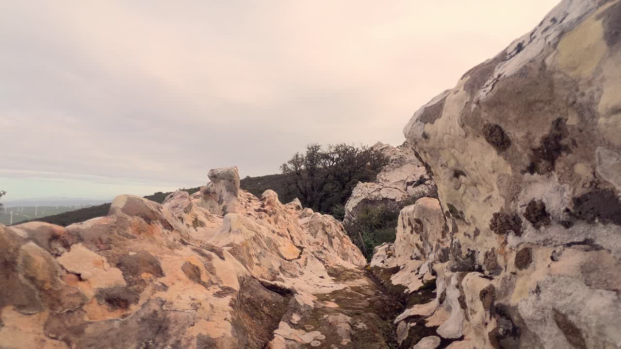 거칠고 돌이 많은 땅 위를 는 모습, 멀리 있는 숲의 초록색 표면을 드러내며, 원시적이고 무자비한 자연 환경의 개념을 묘사합니다.