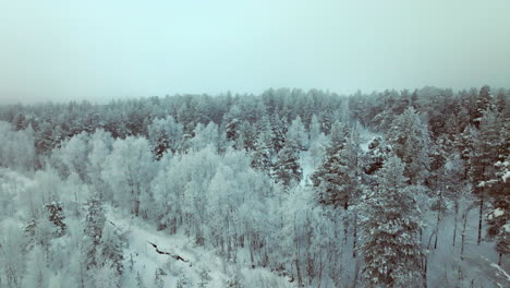 Aerial-flying-over-woods-during-winter-towards-snow-covered-hut,-Lapland