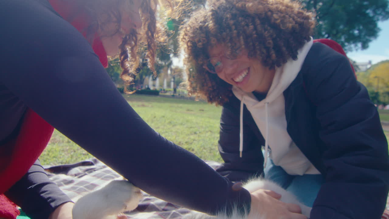 Cute Dog Relaxing in the Park and Enjoying Being Petted