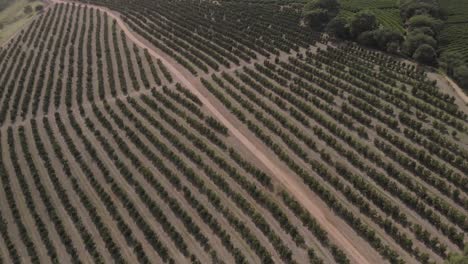 drone-flight-over-big-farm