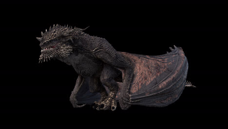 Realistic-dragon-flying-standing-idle-on-black-background