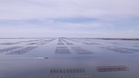 aerial landscape view of a boat saling through a shellfish farm in the ocean near sete, france