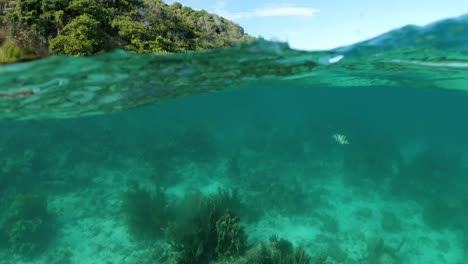 split-view-Marina-Key,-British-Virgin-Islands