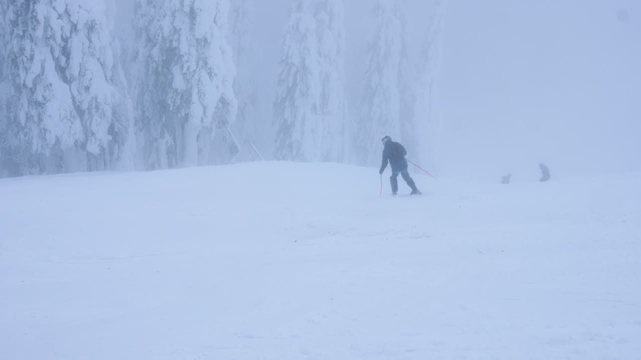 Skier in Foggy Winter Landscape