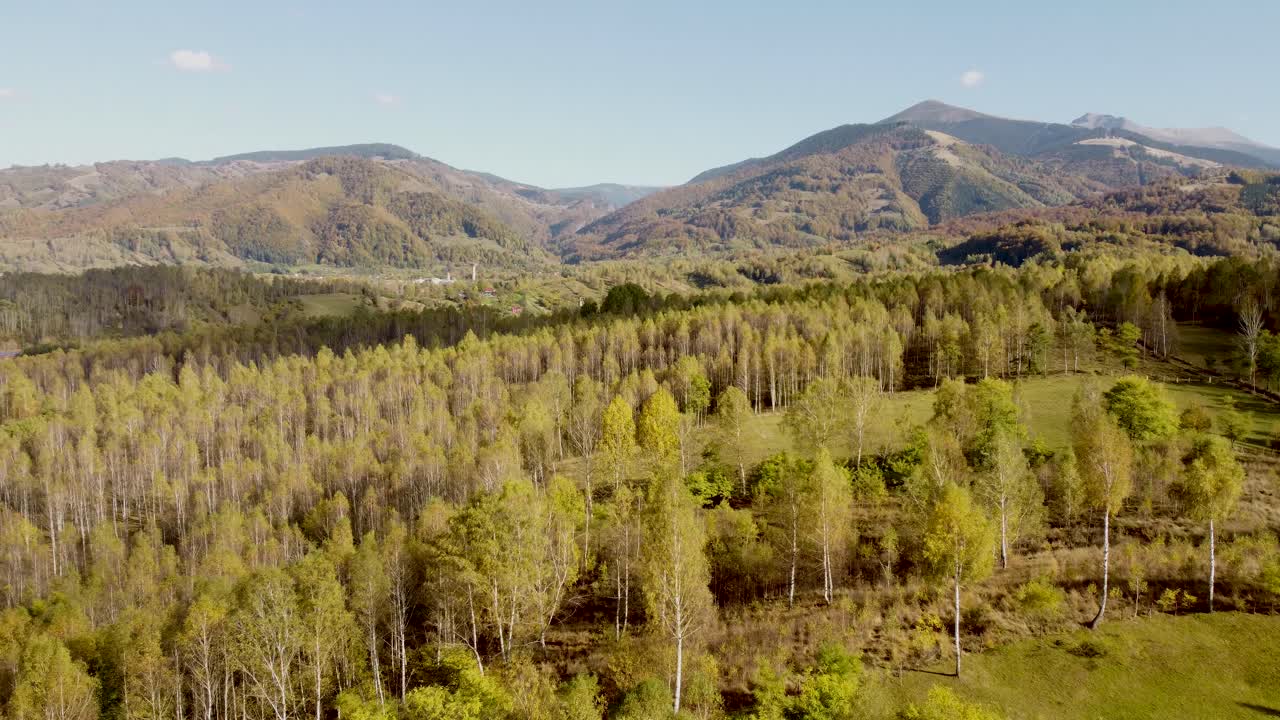 imágenes de drones cinematográficos de 4k volando sobre un bosque colorido en otoño en rumania