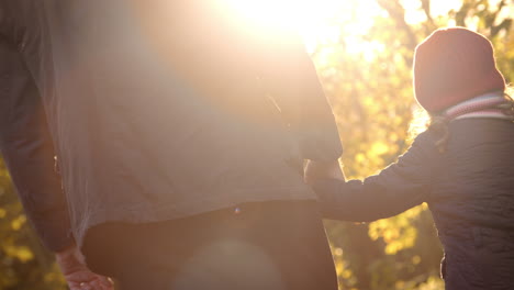 Abuelo-Caminando-Con-Su-Nieta-En-El-Campo-De-Otoño