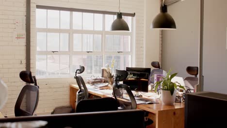 Empty-modern-office-with-computers,-plants-in-pots-and-big-window