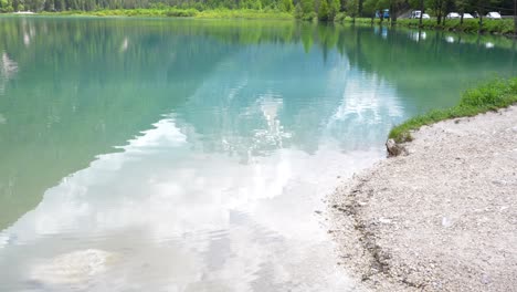 Tilt-up-reveal-of-Lago-di-Landro-from-shore-reflecting-stunning-Dolomites-in-water