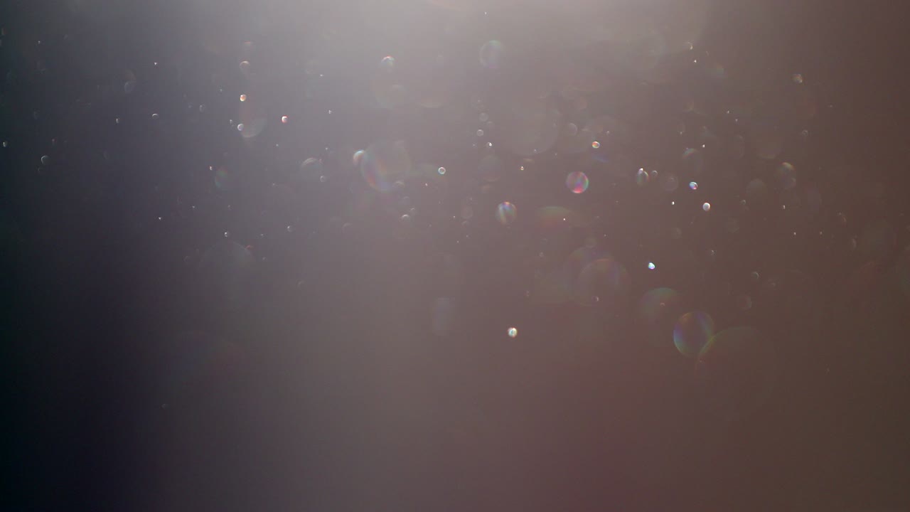 partículas de polen de polvo que vuelan por el aire a la luz del sol