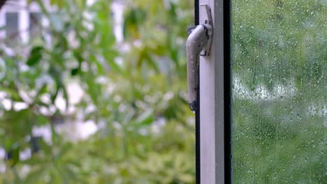 textured window frame with forest landscape reflection and water drops on glass