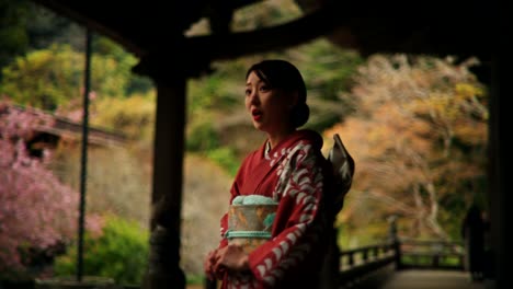 japanese woman in kimono viewing cherry blossoms
