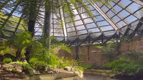 glass roof greenhouse with tropical fern plants in botanical garden and park in whanganui, new zealand