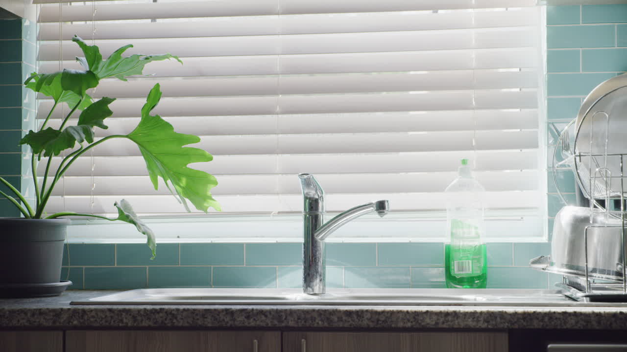 Don't ignore that leaking faucet in your kitchen