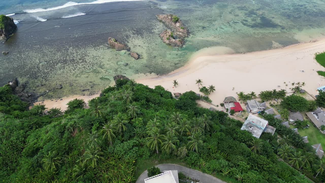 densas palmeras sobre las colinas en baras lugar pintoresco en catanduanes, filipinas