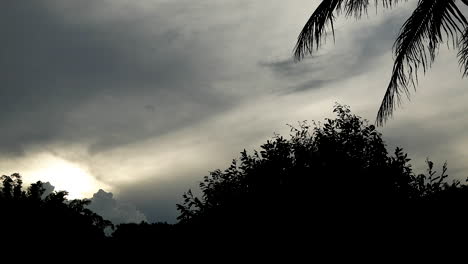 Lapso-De-Tiempo-De-Cielo-Nublado,-Silueta-De-árboles-Y-Oscuridad,-Anochecer