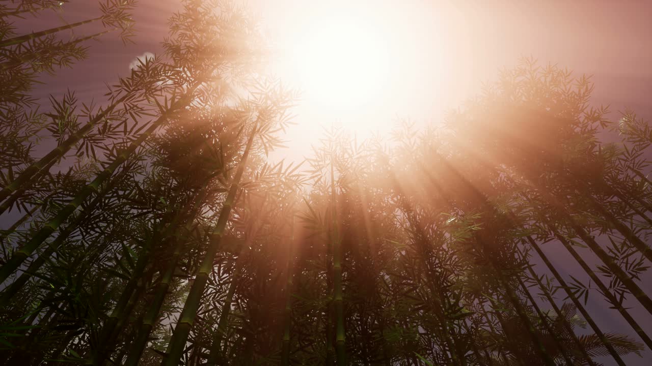 бамбуковый лесный сад