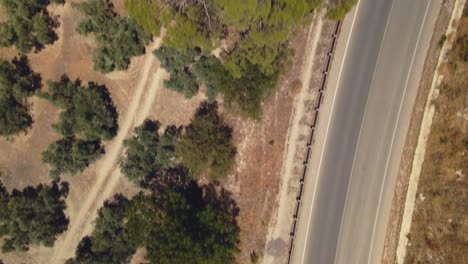 Aerial-high-angle-forward-view-of-field-of-olive-trees,-Andalusia,-Spain