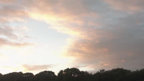 sunset in field panning up to sky