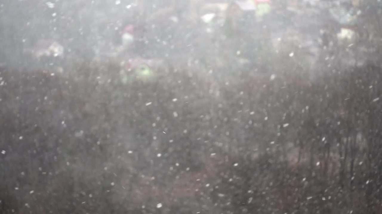 Blizzard in the winter. Slow motion.