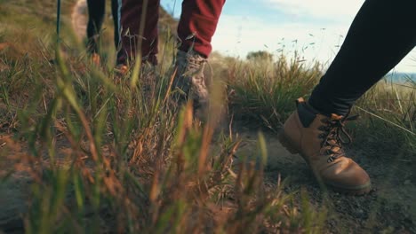 Menschen,-Die-In-Zeitlupe-Im-Wald-Spazieren