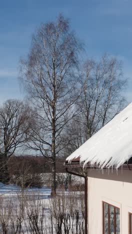 vertical drone view of snow falling of a home roof in countryside. snow cascading from countryside home roof on a peaceful winter day. serene rural winter scene.