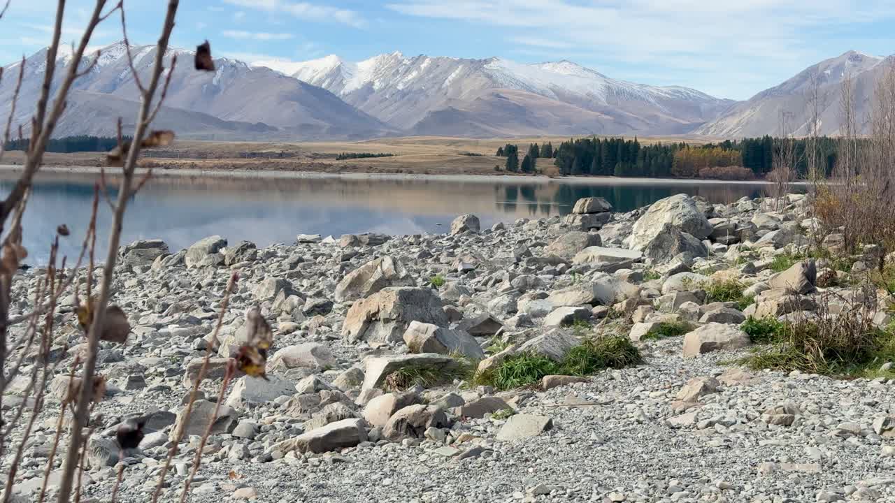 A serene view of Lake Tekapo with rocky shores and snow-capped mountains under clear blue skies