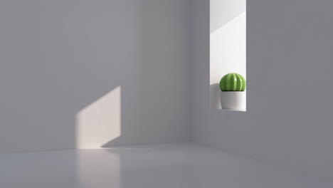 cactus in a white empty room, 3d rendering.