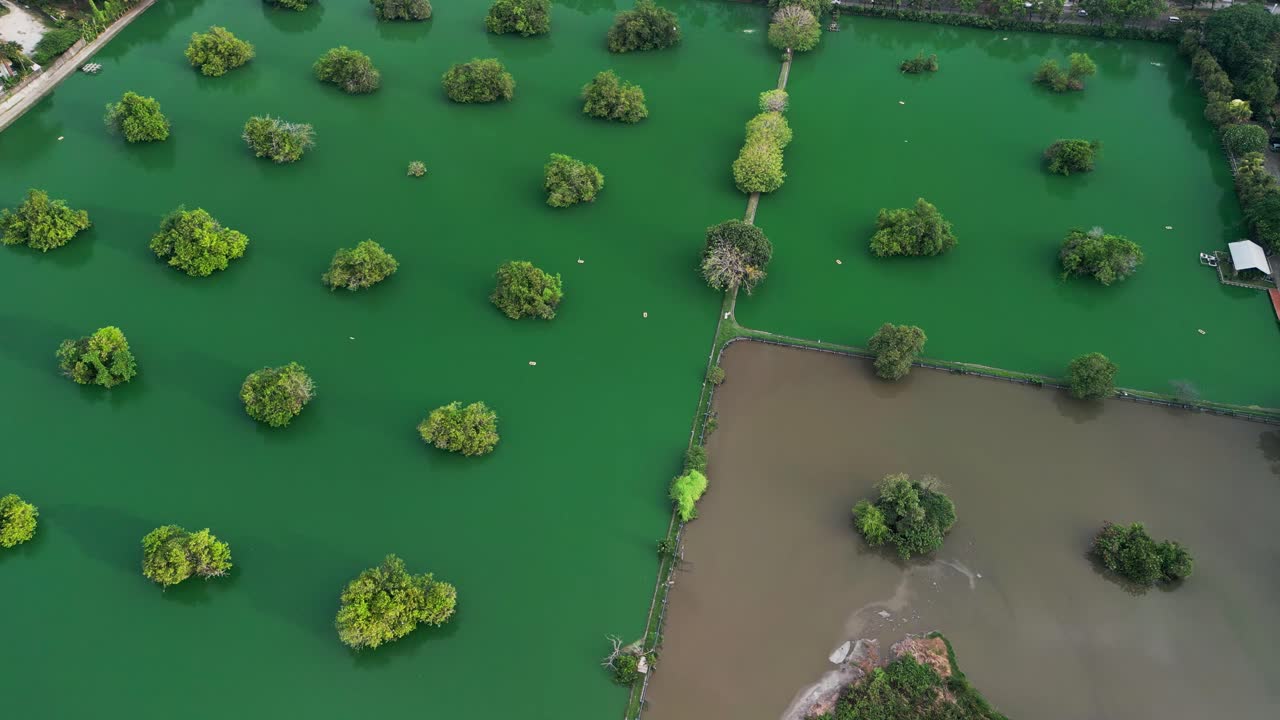 Breathtaking top angle of a conservation zone with green lakes, small tree islands and wildlife refuge areas, making it an incredible destination for birdwatchers and nature lovers