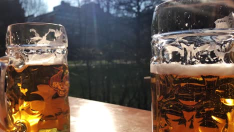 Bier-Im-Sonnenlicht---Biergarten