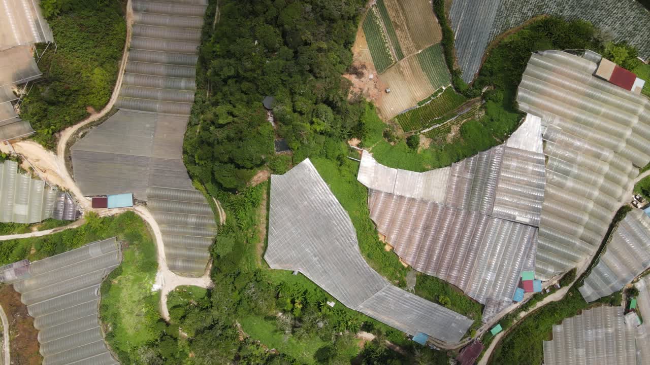 vista general del paisaje del distrito de brinchang dentro del área de cameron highlands de malasia