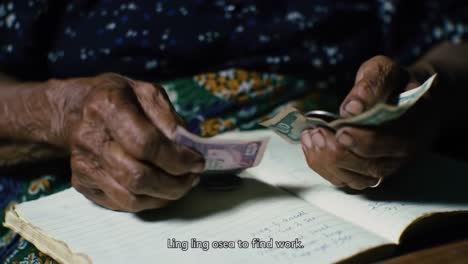 an elderly woman sits at a table, carefully counting bills as she glances at her handwritten notes. the serene atmosphere reflects her focus and diligence in managing finances within her cozy home.