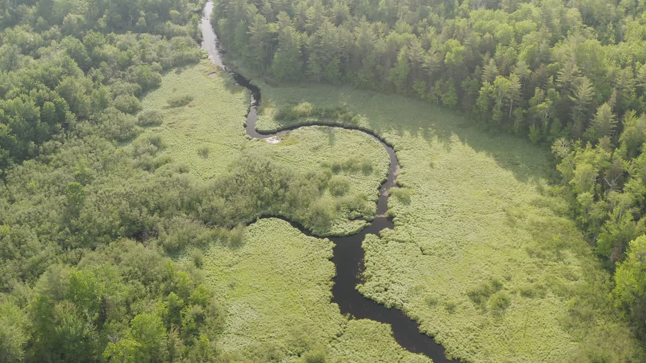 Vue aérienne spectaculaire d'une rivière sinueuse et d'une mangrove