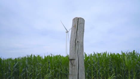 Old-electricity-pole-and-wind-turbines-on-field.-Continuity-concept