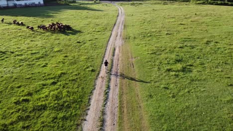 Luftaufnahmen-Eines-Mannes,-Der-An-Einem-Sonnigen-Sommertag-Sein-Fahrrad-Auf-Einer-Landstraße-Reitet