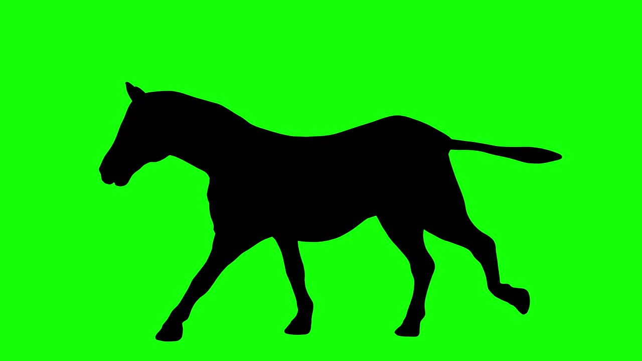 A silhouette of a zebra running on green screen, side view