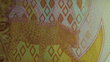 This-is-the-Macro-view-of-a-normal-paper-banknote--money--currency-of-200-South-African-Rand